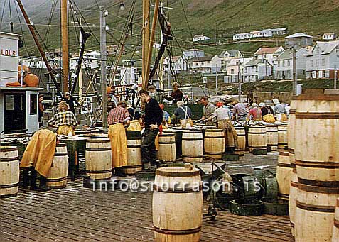 Filma: HS009953-01