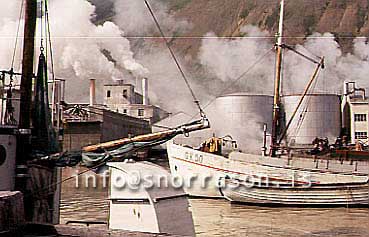 Filma: HS009955-01