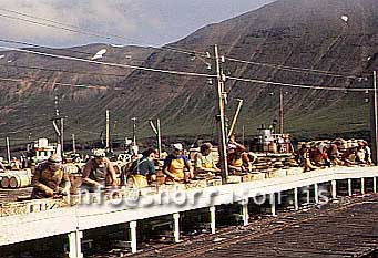 Filma: HS009956-01