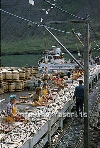 Filma: HS009957-01