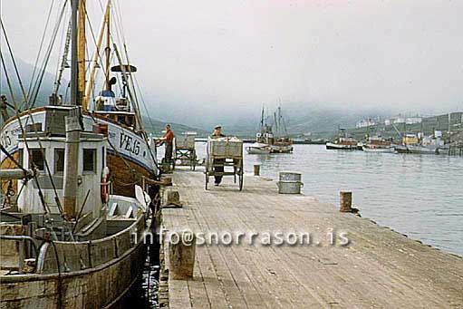 Filma: HS009958-01