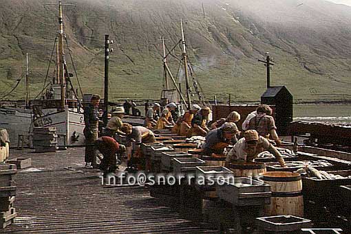 Filma: HS009961-01