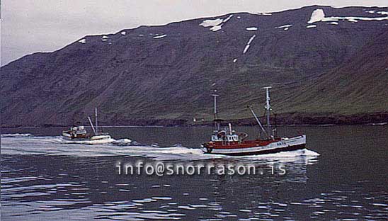 Filma: HS009966-01