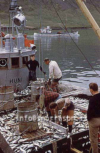 Filma: HS009969-01