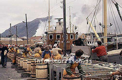 Filma: HS009970-01
