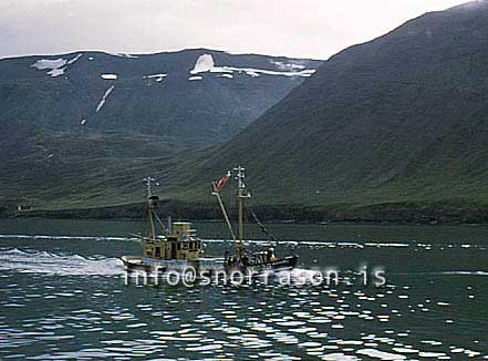 Filma: HS009978-01