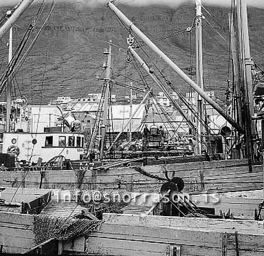 Filma: SS01937-01