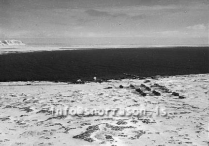 Filma: SS02215-01