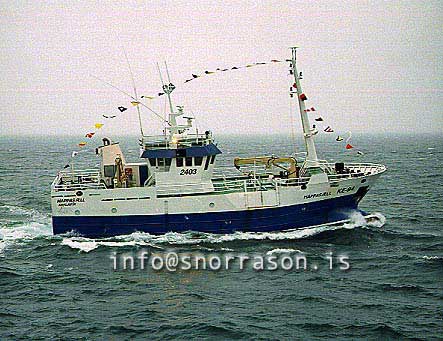 ss00028-01