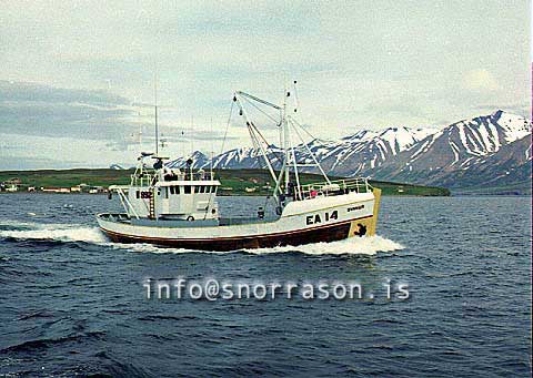 ss00205-01