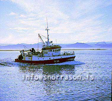 Filma: SS00369-01