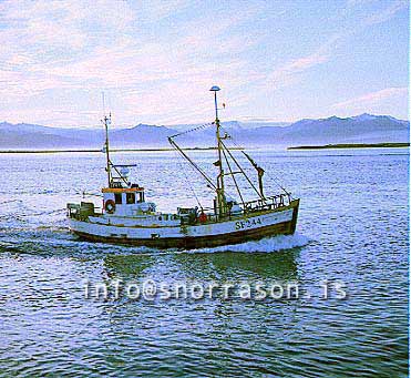 Filma: SS00373-01