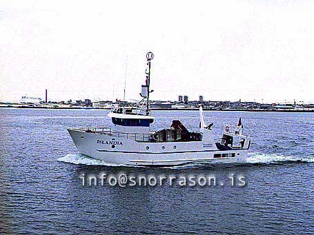 Filma: SS00536-01