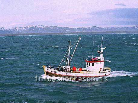 ss00590-01