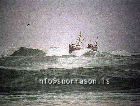 ss00649-01