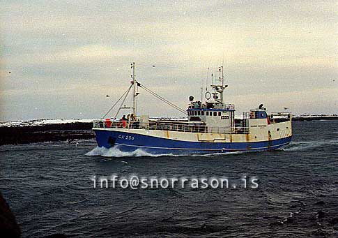 ss00702-01