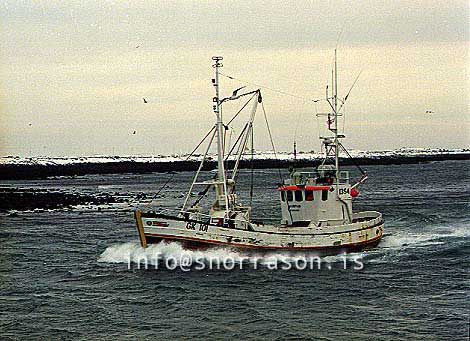 ss00729-01