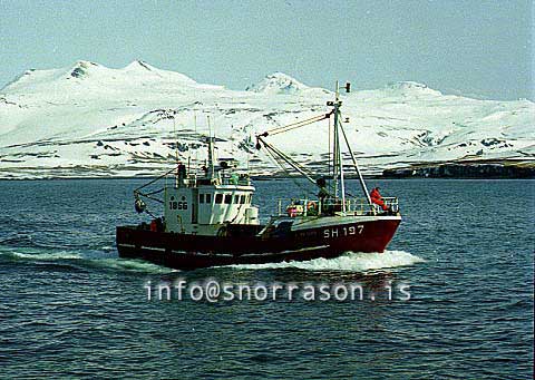 ss00736-01