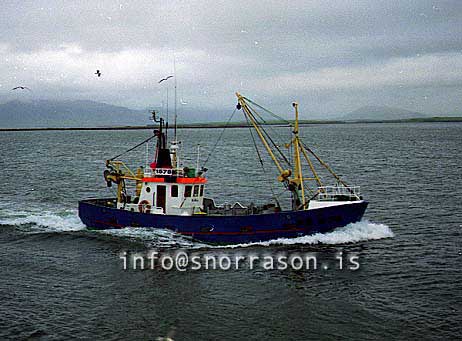 ss00740-01