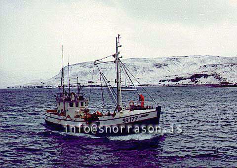 ss00766-01