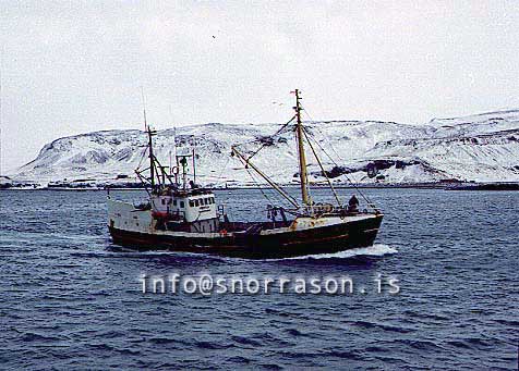 ss00767-01