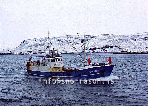 ss00768-01