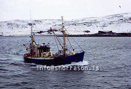 ss00773-01