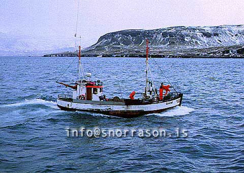 ss00775-01