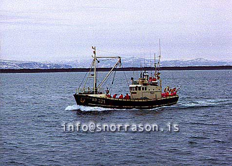 ss00785-01
