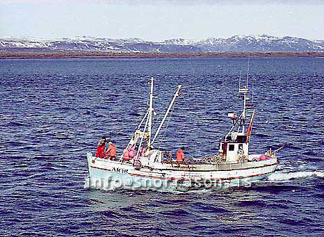 ss00926-01