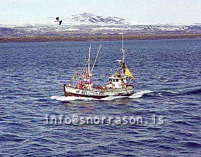 ss00927-01