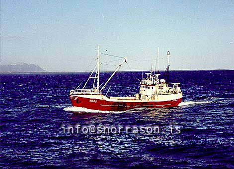 ss01041-01