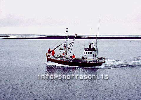 ss01082-01