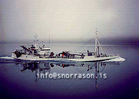 ss01155-01