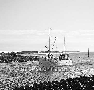 ss01943-01