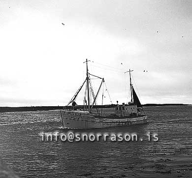 ss01955-01