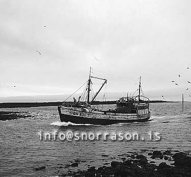 ss01958-01