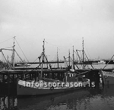 ss01960-01