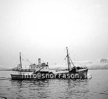 ss01975-01