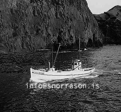 ss02041-01