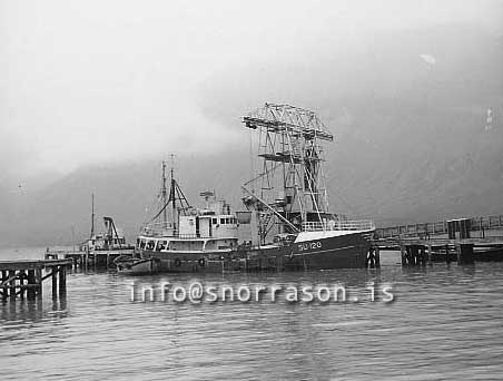 ss02384-01