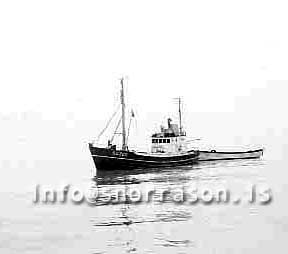 ss02389-01