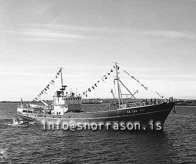 ss02407-01