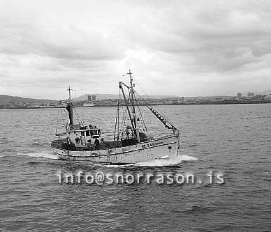 ss02436-01