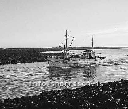 ss02544-01