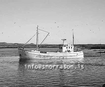 ss02546-01