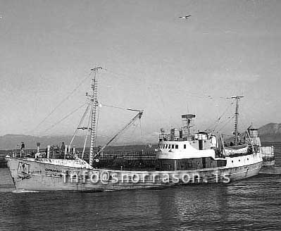 ss02585-01