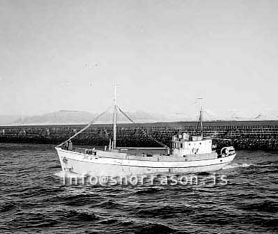 ss02594-01