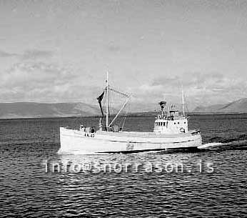 ss02664-01