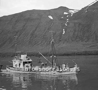 ss02685-01